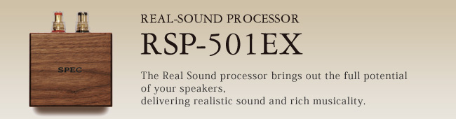 RSP-501EX